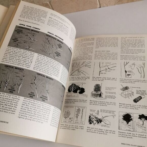 1973 Sunset Basic Gardening Illustrated, Vintage Plants Landscape Backyard Retro - Picture 9 of 9